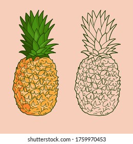 Isolated pineapples. Graphic stylized drawing. Vector illustration.