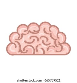 isolated pink brain