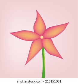an isolated pink flower on a pink background