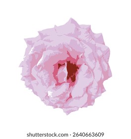 Isolated pink rose flower on white background, showcasing soft, layered petals and elegant form. Ideal for romantic, botanical, decorative, or design themes in floral compositions. Vector.