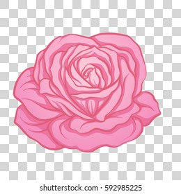 Isolated pink rose flower. Stock line vector illustration.