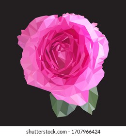 isolated pink rose with green leaves, polygonal flower, natural vector illustration