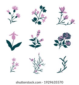 Isolated pink simple vector flowers set