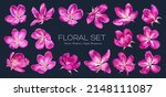 Isolated pink vector flowers on dark background. Clip art easy to edit and customize for your design. Highly realistic detailed hand-drawn botanical set "Paradise Apple" tree flowers. 