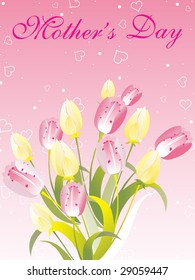 isolated  pink and yellow tulip bunch on mother day