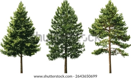 Isolated Pinus pine trees cutout, Sylvestr conifer set, vector illustration, natural woodland collection, forest flora, evergreen tree cluster, seasonal vegetation design.