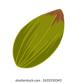 Isolated pistachio kernel vector cartoon illustration. Hand drawn food element for culinary design, healthy product branding, stickers, digital menus, packaging visuals