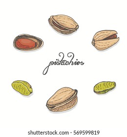 Isolated pistachios on a white background. Vector illustration for your design