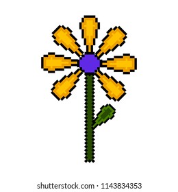 Isolated pixelated flower icon