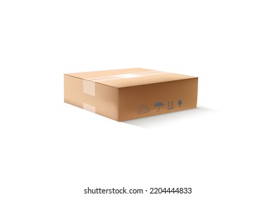 Isolated plain Pizza box type on the white background 