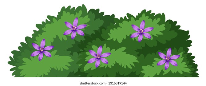 Isolated plant bush on white background illustration