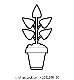 Isolated plant design