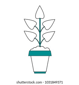 Isolated plant design