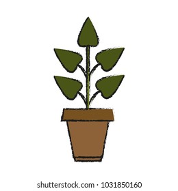 Isolated plant design