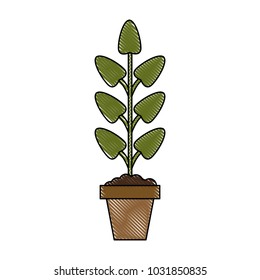 Isolated plant design