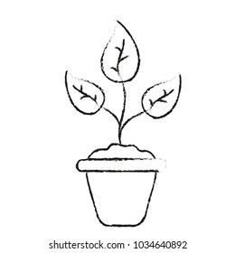 Isolated plant design