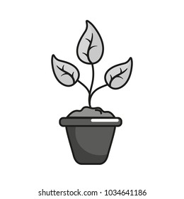 Isolated plant design