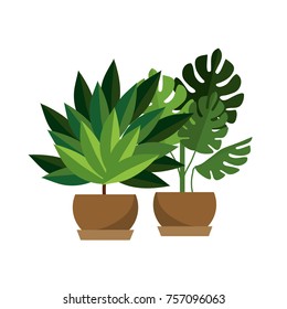 Isolated plant design