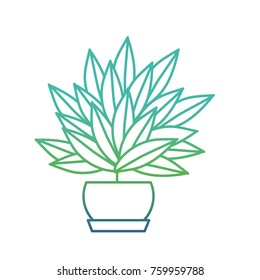 Isolated plant design 