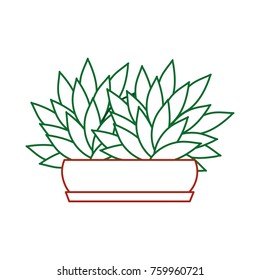 Isolated plant design