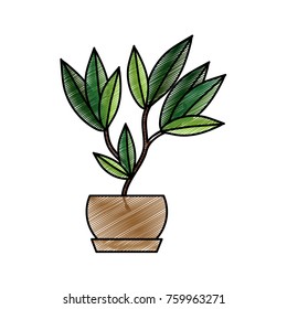 Isolated plant design