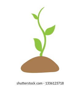Isolated plant image. Eco icon. Vector illustration design