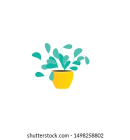 Isolated plant in the pot in isometry style for home style. Flowerpot icon for apartment. Vector illustration