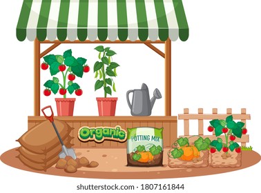 Isolated plants shop on white background8 illustration