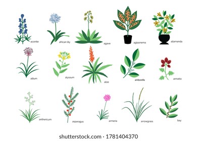 Isolated plants simple icons collection
