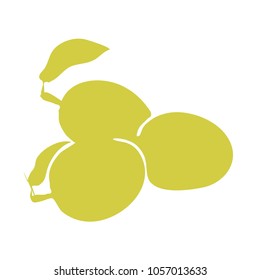 Isolated plums. Icon of fruit. Green silhouette. Vector illustration.