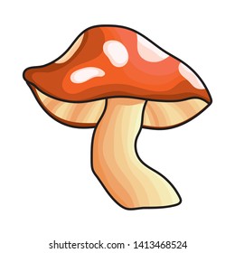 Isolated pointed fungi mushroom design vector illustration