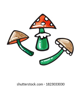 Isolated poisonous mushroom collection. Halloween vector illustration. Hand drawn style. Seamless pattern for leaflet, poster, sticker, booklet,