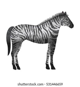 Isolated polygonal zebra design