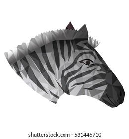 Isolated polygonal zebra design
