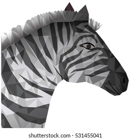 Isolated polygonal zebra design