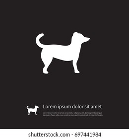 Isolated Pooch Icon. Dog Vector Element Can Be Used For Dog, Animal, Pooch Design Concept.