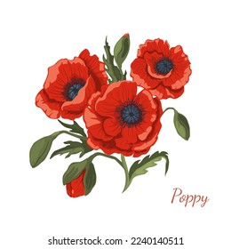 Isolated poppy flowers. Cartoon wildflowers bouquet. Summer blossom plant clipart. Remembrance day symbol. Wild herb icon. Vector illustration