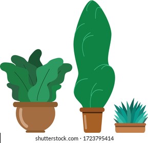 Isolated potted house plants on a white background. Flora concept. Vector flat illustration.