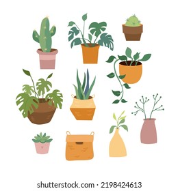 Isolated potted houseplants. Decorations for the interior. House plants. Cacti and succulents