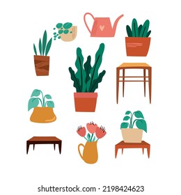 Isolated potted houseplants. Decorations for the interior. House plants. Flowers in a vase