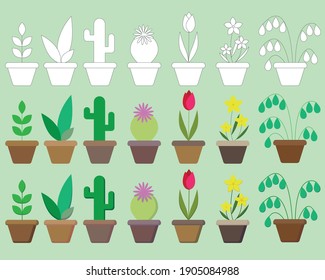 Isolated potted plants in set. Black and white and flat illustrated flowers for decorating interior