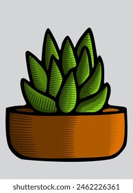 Isolated, potted succulent, indoor plant, vector illustration.