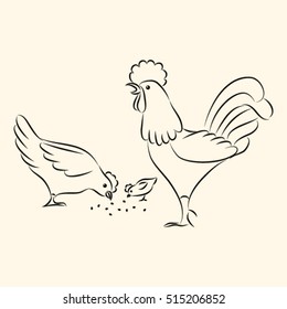 isolated poultry, rooster, chicken, chick, sketch, vector illustration