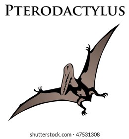 isolated pterodactylus dinosaurs vector illustration