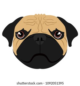 Isolated pug avatar