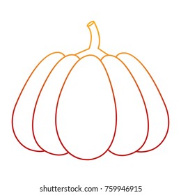 Isolated pumpkin design