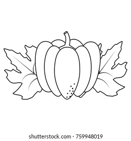 Isolated pumpkin design