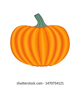Isolated pumpkin on white background in cartoon style.Vector illustration