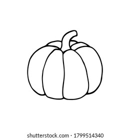 Calabaza aislada en un fondo blanco, ilustración vectorial dibujada a mano. Símbolo de la fiesta de Halloween