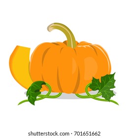 Isolated pumpkin on white background. Vector flat illustration.